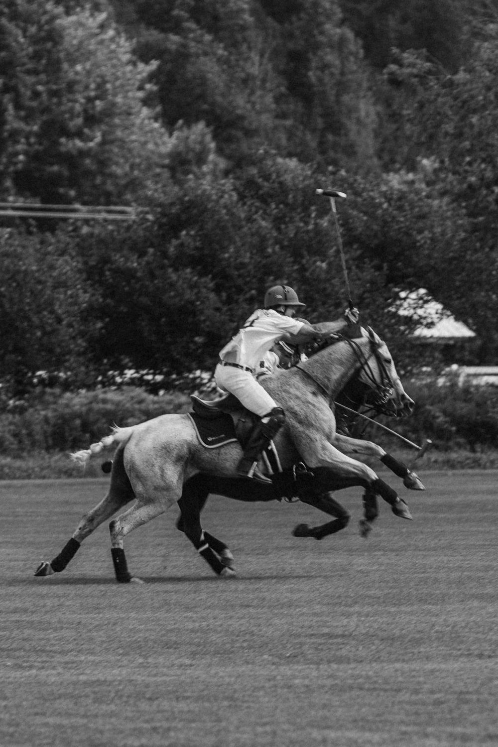 CLUB POLO NACIONAL, La Caviare menu partner, Rigaud