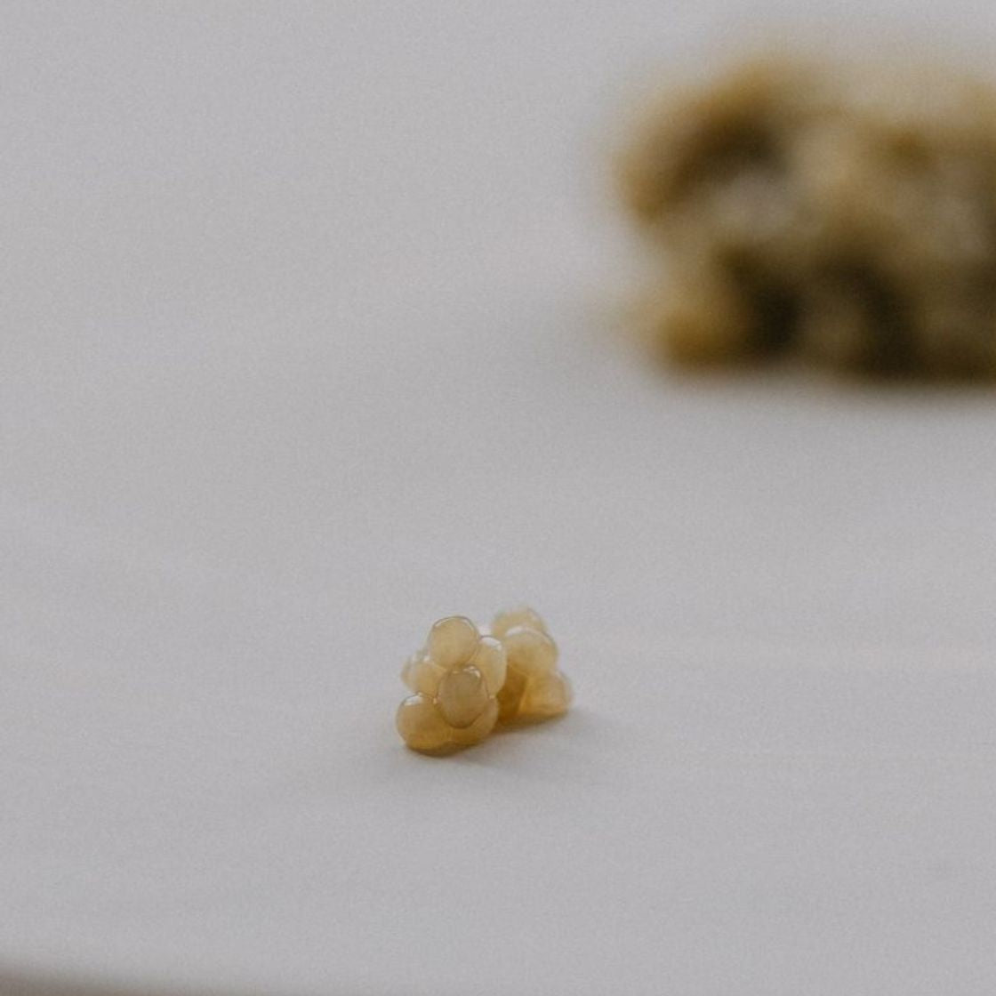 Detail of La Caviare Almas caviar pearls