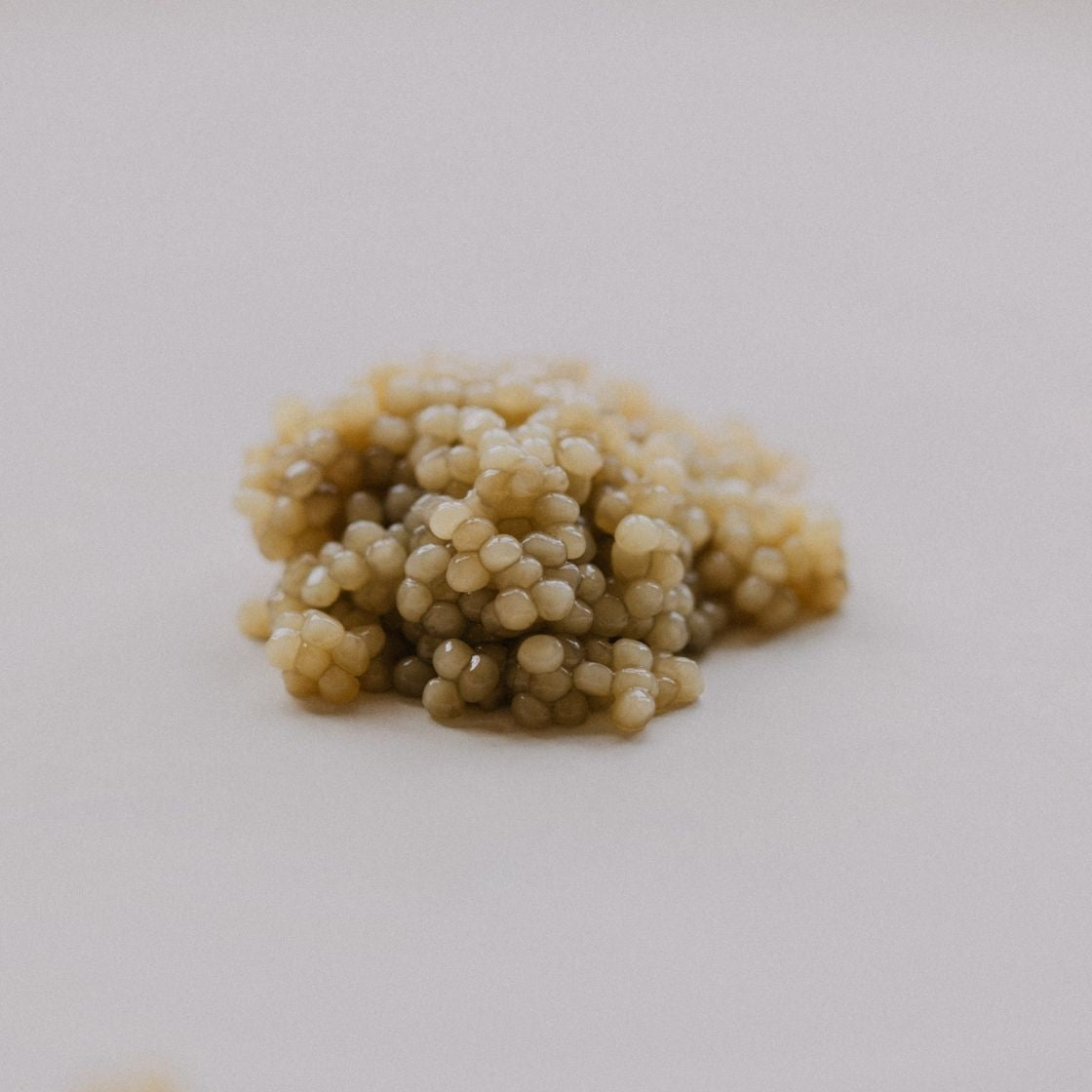 La Caviare Almas caviar served on a plate