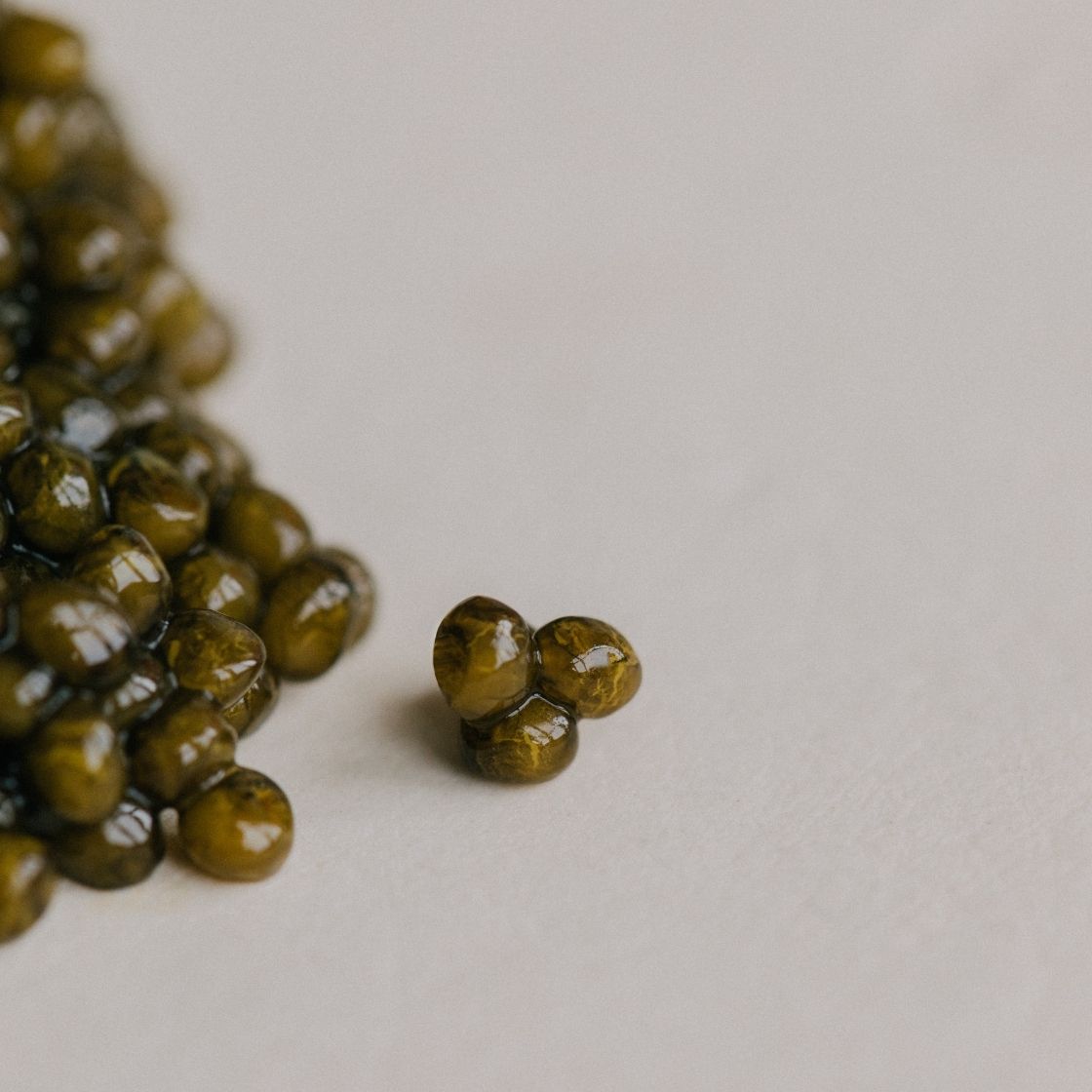 Close-up of Ossetra Persicus caviar on a plate